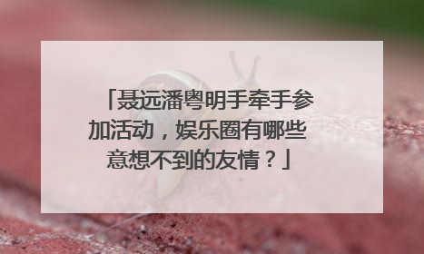 聂远潘粤明手牵手参加活动，娱乐圈有哪些意想不到的友情？