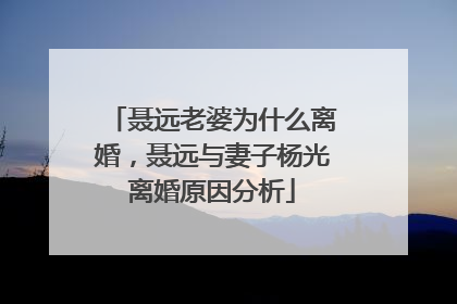 聂远老婆为什么离婚，聂远与妻子杨光离婚原因分析