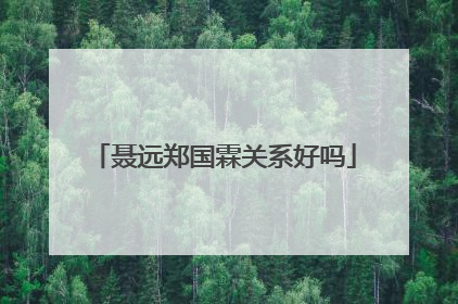 聂远郑国霖关系好吗