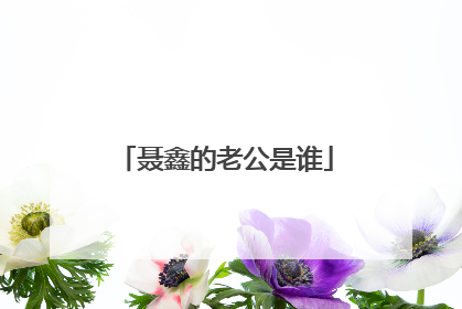 聂鑫的老公是谁