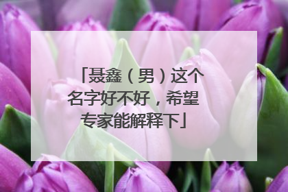 聂鑫(男)这个名字好不好,希望专家能解释下