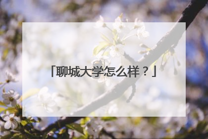 聊城大学怎么样？