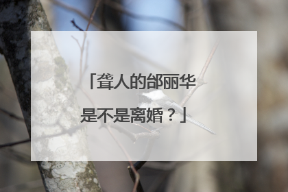 聋人的邰丽华是不是离婚？