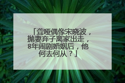 聋哑偶像宋晓波,抛妻弃子离家出走,8年闹剧婚姻后,他何去何从?