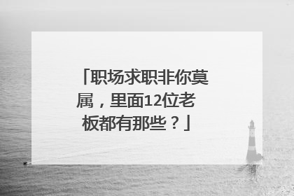 职场求职非你莫属，里面12位老板都有那些？