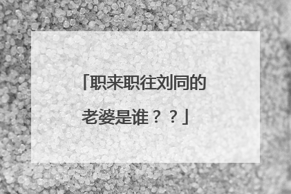 职来职往刘同的老婆是谁？？
