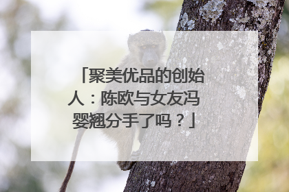 聚美优品的创始人：陈欧与女友冯婴翘分手了吗？