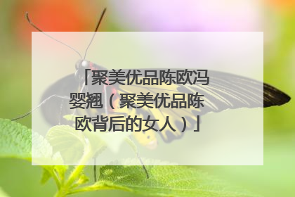 聚美优品陈欧冯婴翘(聚美优品陈欧背后的女人)