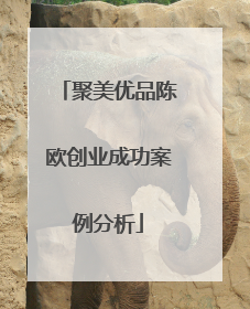 聚美优品陈欧创业成功案例分析