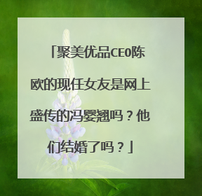 聚美优品CEO陈欧的现任女友是网上盛传的冯婴翘吗？他们结婚了吗？