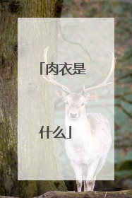肉衣是什么