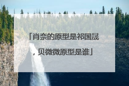 肖奈的原型是祁国晟,贝微微原型是谁
