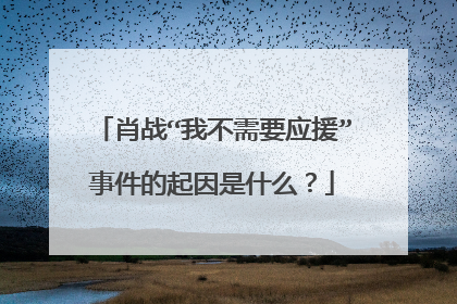 肖战“我不需要应援”事件的起因是什么？