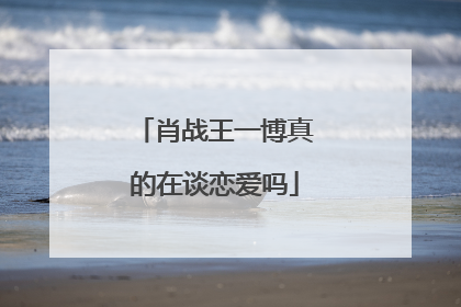 肖战王一博真的在谈恋爱吗