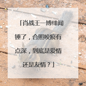肖战王一博绯闻锤了，合照咬痕有点深，到底是爱情还是友情？