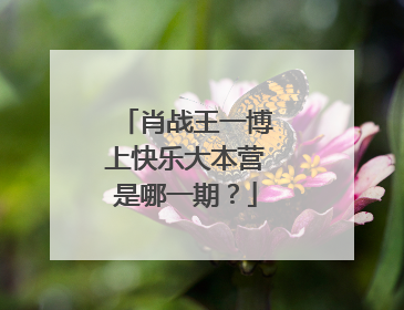 肖战王一博上快乐大本营是哪一期？