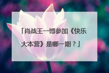 肖战王一博参加《快乐大本营》是哪一期?