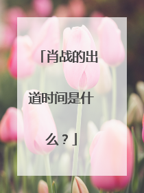 肖战的出道时间是什么?