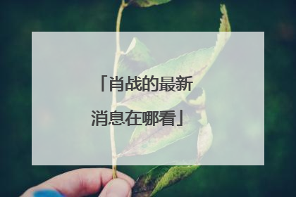 肖战的最新消息在哪看
