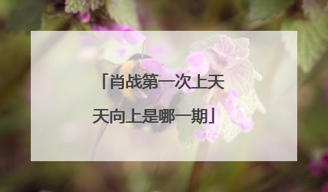 肖战第一次上天天向上是哪一期