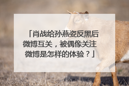 肖战给孙燕姿反黑后微博互关,被偶像关注微博是怎样的体验?