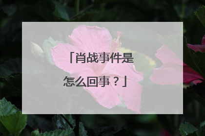 肖战事件是怎么回事?