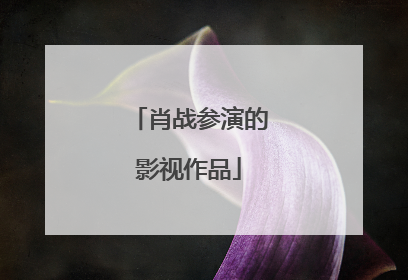 肖战参演的影视作品