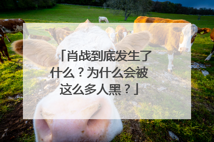 肖战到底发生了什么？为什么会被这么多人黑？