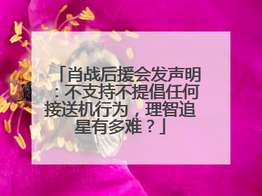 肖战后援会发声明:不支持不提倡任何接送机行为,理智追星有多难?