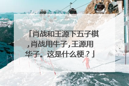 肖战和王源下五子棋,肖战用牛子,王源用华子。这是什么梗?