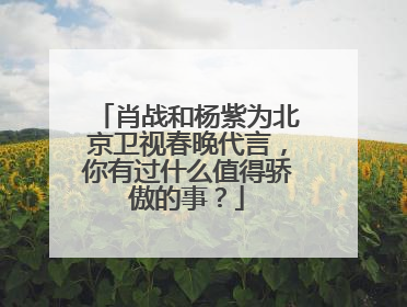 肖战和杨紫为北京卫视春晚代言，你有过什么值得骄傲的事？