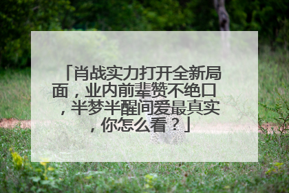 肖战实力打开全新局面，业内前辈赞不绝口，半梦半醒间爱最真实，你怎么看？