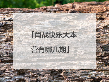 肖战快乐大本营有哪几期