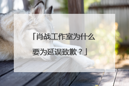 肖战工作室为什么要为延误致歉？