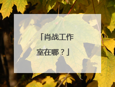 肖战工作室在哪？