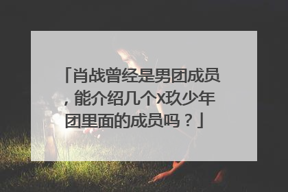 肖战曾经是男团成员,能介绍几个X玖少年团里面的成员吗?