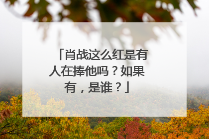肖战这么红是有人在捧他吗？如果有，是谁？