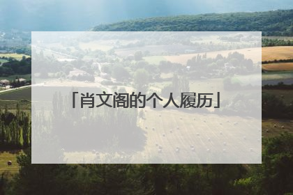 肖文阁的个人履历