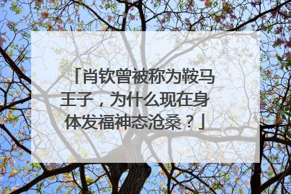 肖钦曾被称为鞍马王子,为什么现在身体发福神态沧桑?