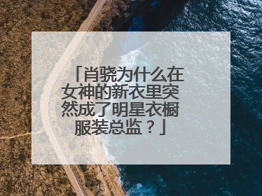 肖骁为什么在女神的新衣里突然成了明星衣橱服装总监?