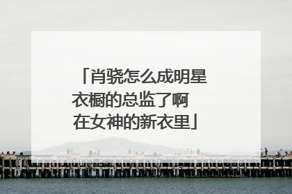 肖骁怎么成明星衣橱的总监了啊 在女神的新衣里
