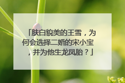 肤白貌美的王雪，为何会选择二婚的宋小宝，并为他生龙凤胎？