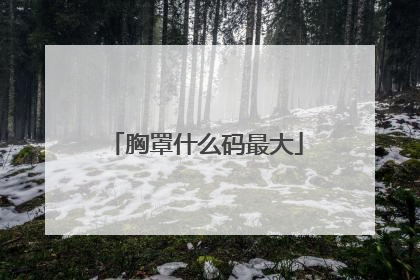 胸罩什么码最大