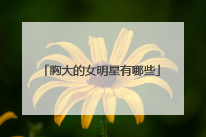 胸大的女明星有哪些