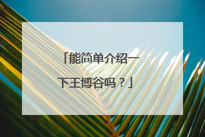 能简单介绍一下王博谷吗?