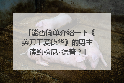 能否简单介绍一下《剪刀手爱德华》的男主演约翰尼·德普？