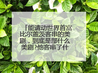 能请动世界首富比尔盖茨客串的美剧，到底是部什么美剧?他客串了什么角色?