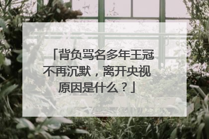 背负骂名多年王冠不再沉默,离开央视原因是什么?