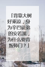 背靠大树好乘凉，身为辛巴徒弟的安若溪，为什么要背叛师门？