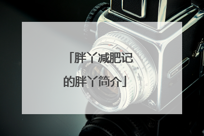 胖丫减肥记的胖丫简介